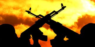 Monarch, Police Escorts Killed as Gunmen Strike at Night,