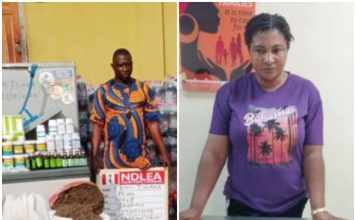 Two-Week Crackdown: NDLEA Confiscates 156,575 Tramadol Pills in Nigeria