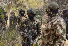 Security Forces Nab Two Terror Suspects in Niger State