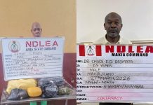 93-year-old great grandpa, medical doctor arrested over cocaine, skunk trafficking