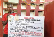 NDLEA intercepts terror drug ‘captagon’ in Kwara as bizman excretes 45 cocaine wraps
