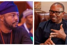 Tinubu’s Aide Dismisses Peter Obi’s One-Party State Claims as ‘Dead on Arrival’