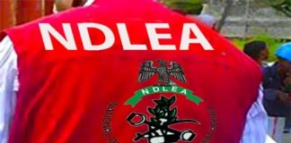 Drug Bust: NDLEA Seizes Cocaine Concealed in Food Containers, Arrests Suspects