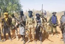 Sokoto Attacks: Five Dead, 22 Abducted by Bandits in Overnight Assault
