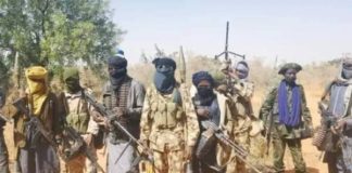 Sokoto Attacks: Five Dead, 22 Abducted by Bandits in Overnight Assault
