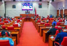 Senate Vacates Ondo South Senatorial Seat After Ibrahim’s Appointment to United Nations Position