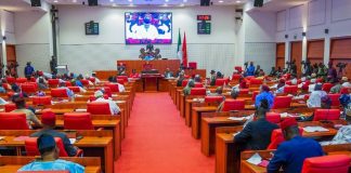 Senate Vacates Ondo South Senatorial Seat After Ibrahim’s Appointment to United Nations Position