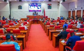 Senate Vacates Ondo South Senatorial Seat After Ibrahim’s Appointment to United Nations Position