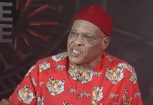 “I’m Being Punished for Supporting Nnamdi Kanu, Says Aguocha”