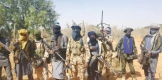 Zamfara State Community Reels as Bandits Set Palace on Fire