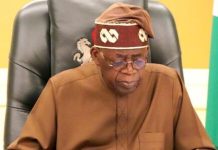 Governors’ Backing of Tinubu Means Little – ADC Chieftain