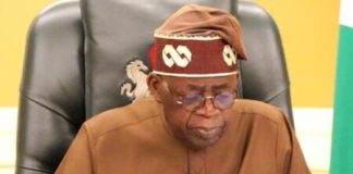 Governors’ Backing of Tinubu Means Little – ADC Chieftain