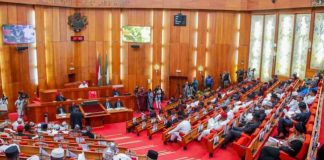 Nigerian Senate Gives Green Light to Tinubu’s $516m Loan Proposal