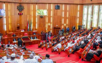 Nigerian Senate Gives Green Light to Tinubu’s $516m Loan Proposal