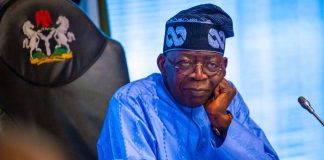 Tinubu Backs State Police Amid Plateau Violence, Urges Action on White Papers