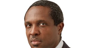 Tonye Cole: Political Parties Often Work to Weaken Their Rivals