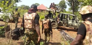 Shehu Sani Charges Military to Wipe Out Bandits Nationwide