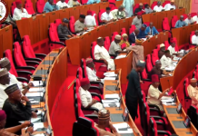 Benue Attacks: Senate Calls for Immediate Steps to End Violence in Apa, Agatu