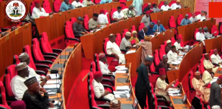 Benue Attacks: Senate Calls for Immediate Steps to End Violence in Apa, Agatu