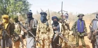 Abductions, Killings: SERAP Calls For Nigeria’s Referral To UN Security Council