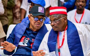 Ardo Opens Up On Warning To Peter Obi, Kwankwaso Over NDC Strategy