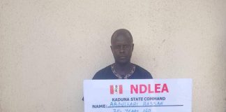 NDLEA Busts Drug Traffickers Concealing Cocaine In Carton Panels
