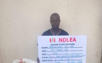 NDLEA Busts Drug Traffickers Concealing Cocaine In Carton Panels