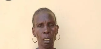 Security Forces Detain Woman Suspected of Links to Boko Haram in Borno
