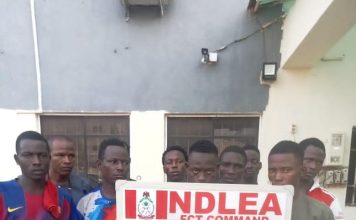 NDLEA dismantles Abuja drug bunks, arrests 132, recovers 220kg illicit substances