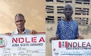 83-year-old, 78-year-old grandpas arrested for drug trafficking in Abia, Ekiti