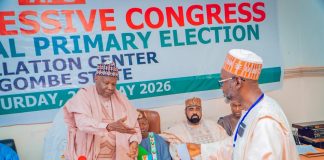 APC Primaries: Tinubu Records Landslide Victory in Gombe, Osifo Fails to Score