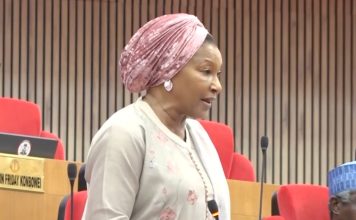 Senate Addresses Claims Of N68m Bribery Allegation Involving Kingibe