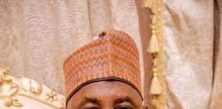NDC Senate Primary: Gaya Loses Ticket To Batayya