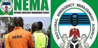 NEMA Strengthens Collaboration With DSS On Emergency Response