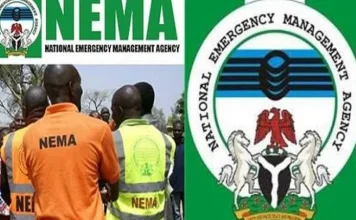 NEMA Strengthens Collaboration With DSS On Emergency Response