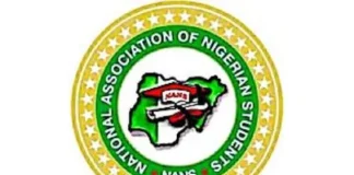 Nigerian Students Mobilise Against South African Businesses Over Xenophobic Violence