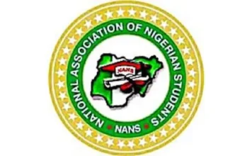 Nigerian Students Mobilise Against South African Businesses Over Xenophobic Violence