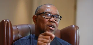 ADC Chieftain, Maigari: ‘Peter Obi Has Pushed Igbos 20 Years Backwards From Getting Presidency’