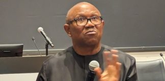 Peter Obi Faces Doubt In Northern Nigeria Despite Kwankwaso’s Political Influence, Says Muhammad, Ibrahim