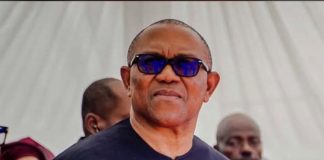 “What Happened During My Screening” — Peter Obi Speaks On NDC Process