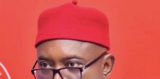 APC Betrayal: Ned Nwoko Claims He Was Promised Automatic Ticket