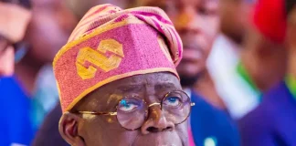 APC Presidential Primary: Tinubu Faces Challenge From Osifo