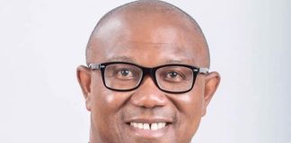 NDC Says Peter Obi Proposed Aisha Yesufu for House of Reps, She Opted for Senate