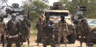 7-Month-Old Baby Among 13 Victims Abducted by Boko Haram in Borno