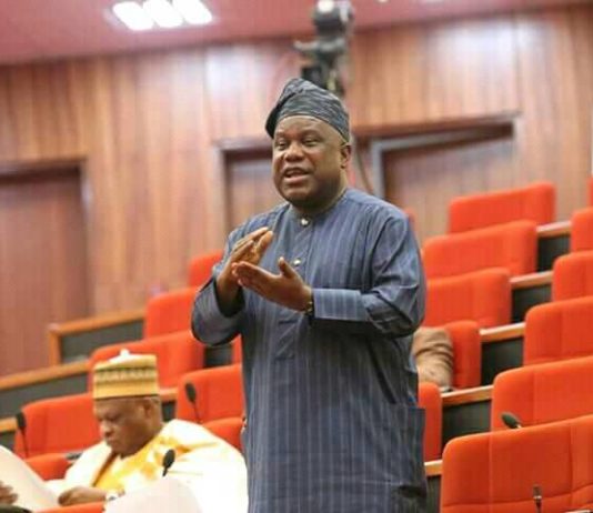 Oyo Kidnap Incident: Bean Seller Made ₦20,000 Daily Serving Terrorists – Senator Buhari