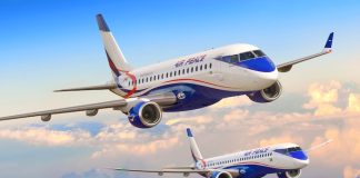 Bird Strike Forces Air Peace to Cancel Warri–Lagos Flight Operations