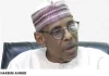 Baba-Ahmed: Regional Identity Is Not Enough to Secure Northern Votes
