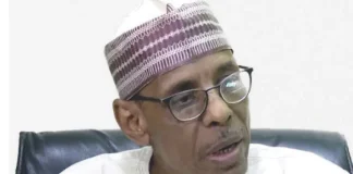Baba-Ahmed: Regional Identity Is Not Enough to Secure Northern Votes