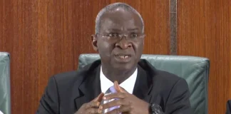Fashola Questions Nigerians: What Kind of Democracy Are We Building?