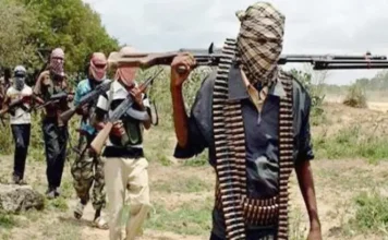 Niger Communities Face Extortion as Terrorists Demand Food and Materials